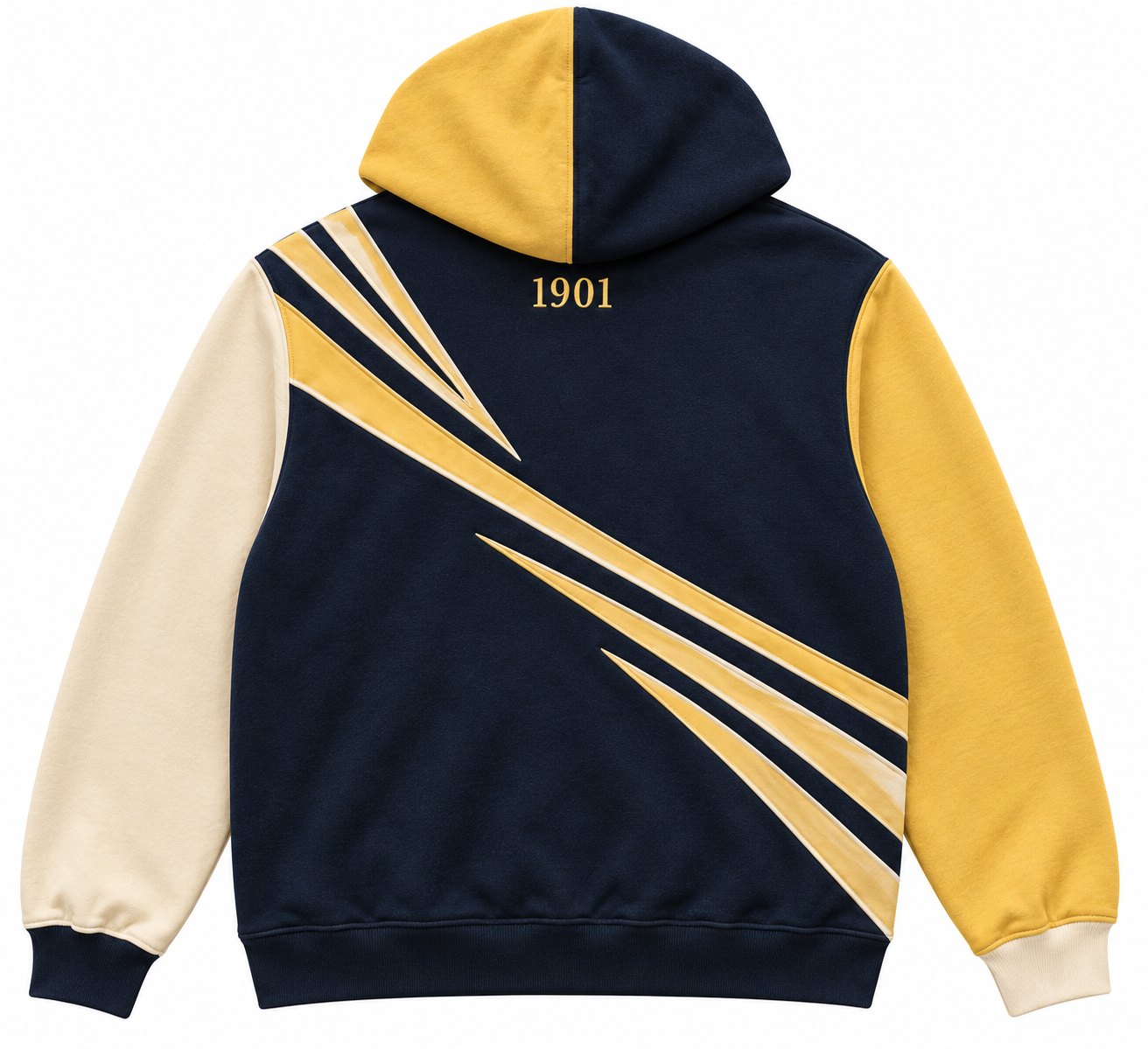 City of Light Colourblock hoodie, back