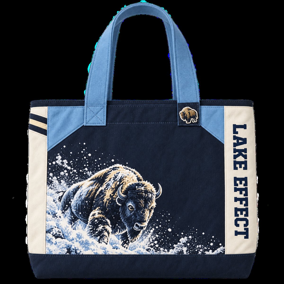 Lake Effect Spirit Colourblock tote
