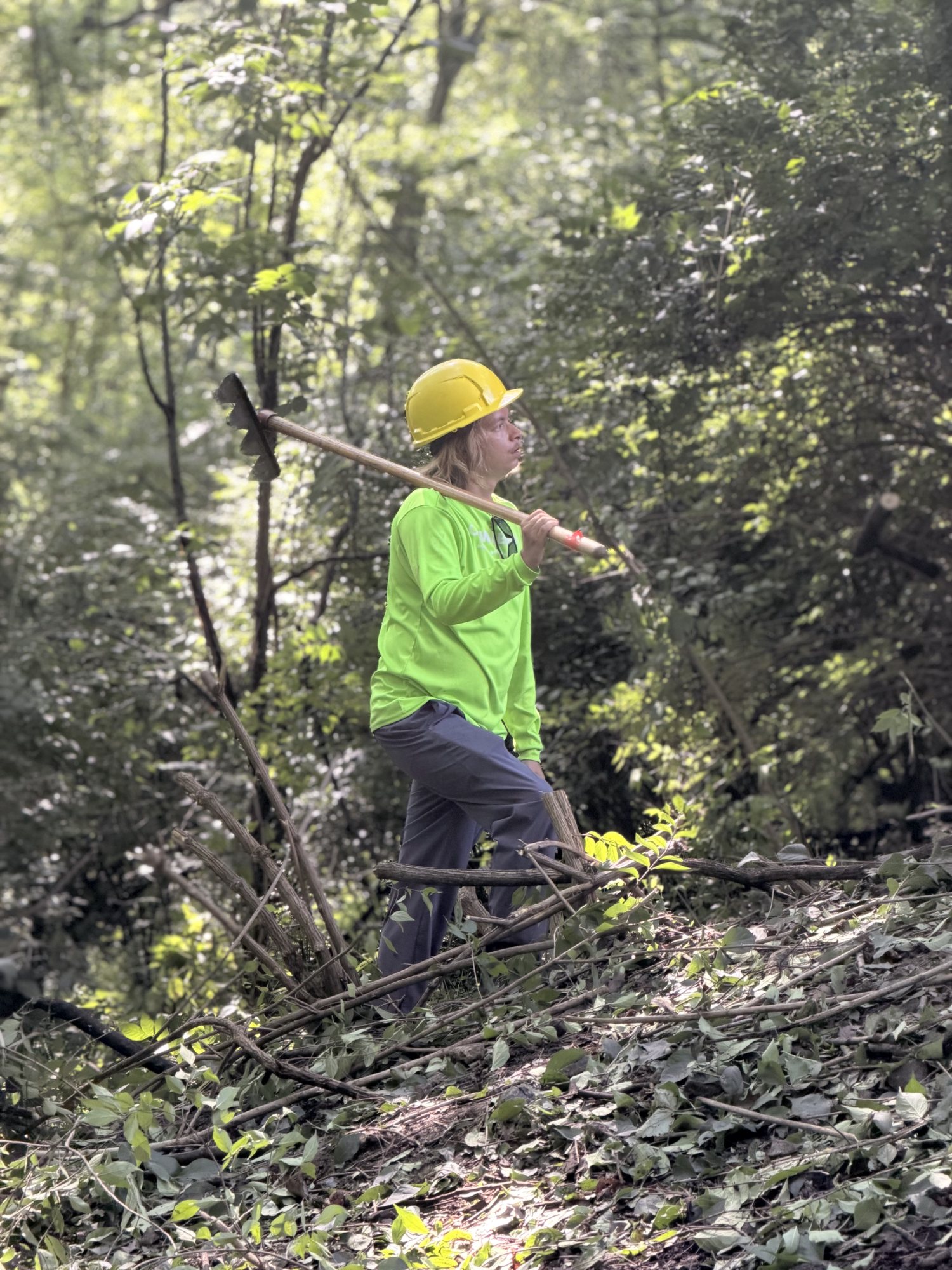 A crew member in a bright green shirt and yellow hard hat carries a long-handled tool through dense woodland undergrowth