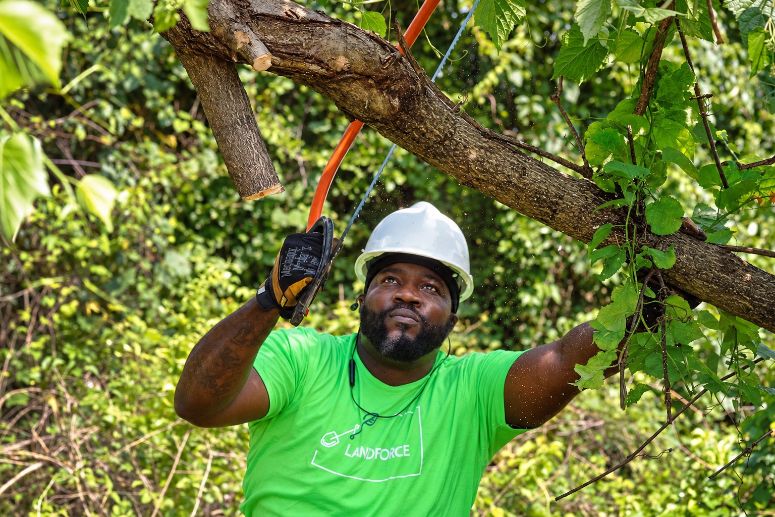 A crew member in a bright green Landforce shirt and white hard hat prunes a branch overhead with a pole tool