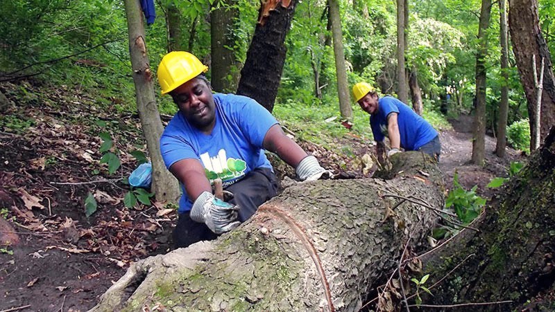 Two crew members in blue shirts and yellow hard hats buck a fallen tree trunk on a forest trail