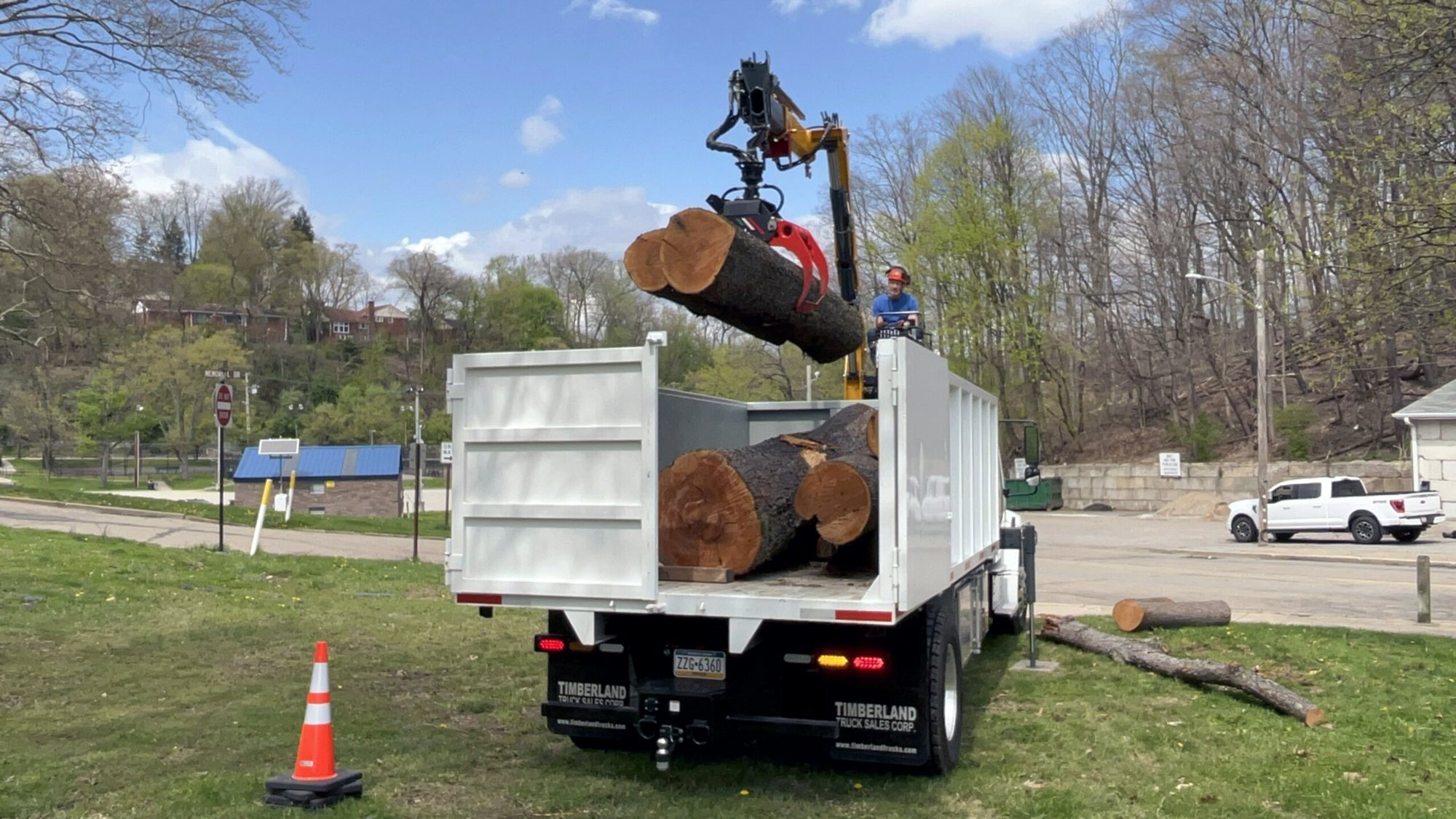 Landforce’s white grapple truck lowers a recovered log into its dump body on a park lawn, an orange traffic cone beside the truck