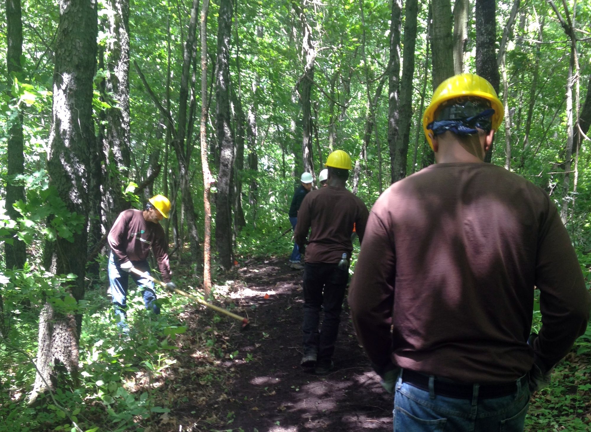 Crew members in hard hats walk and work along a narrow trail through dense summer woods