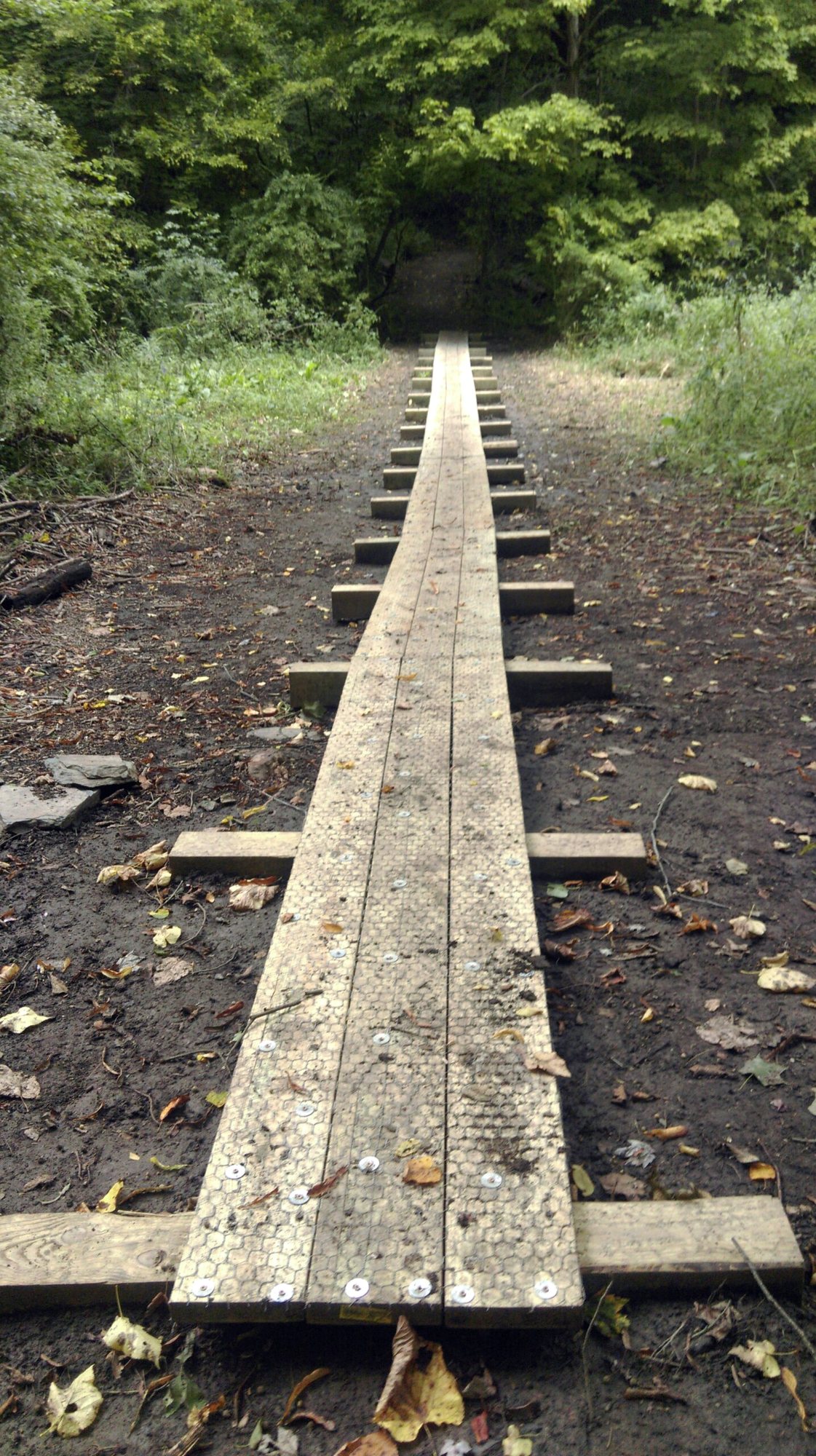 The rebuilt Crouse Run boardwalk, a straight run of new planks on cross-timbers leading into the woods
