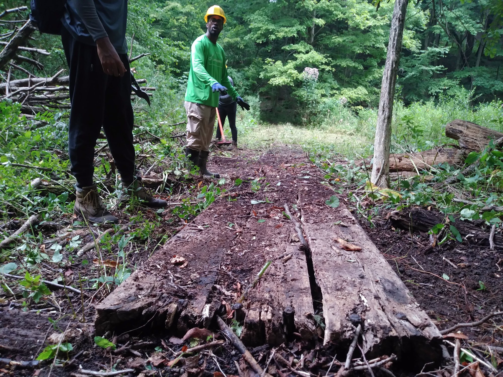 The rotted old bog bridge at Crouse Run, its split timbers sinking into the trail, before replacement