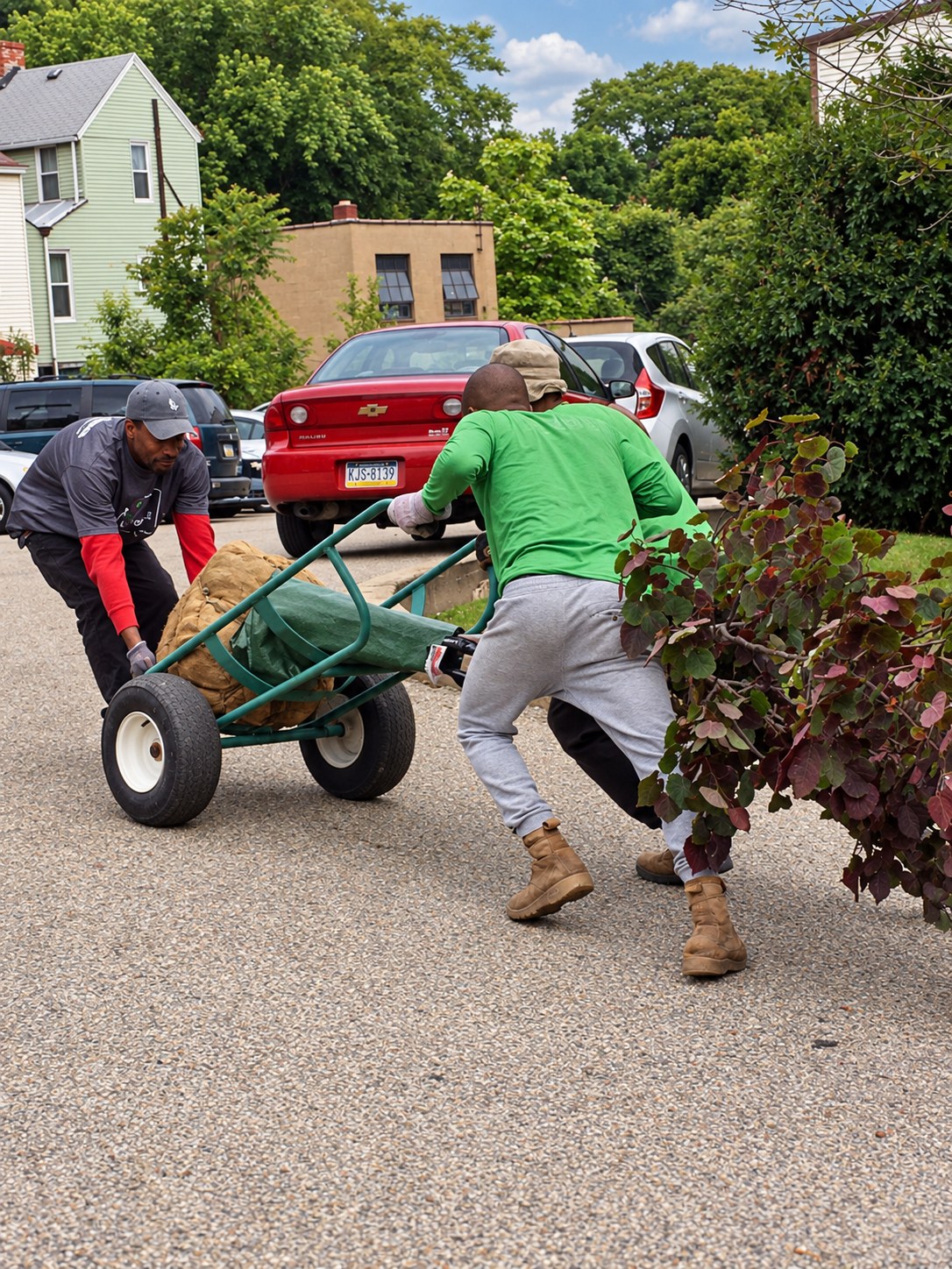 A crew member pushes a wheelbarrow loaded with cut branches across a gravel lot on a residential street