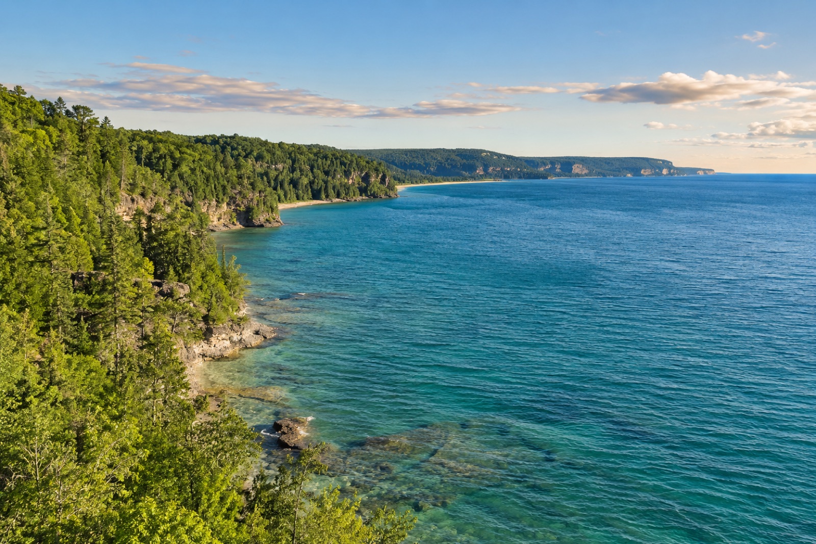 A scenic Michigan shoreline with forest and blue water.