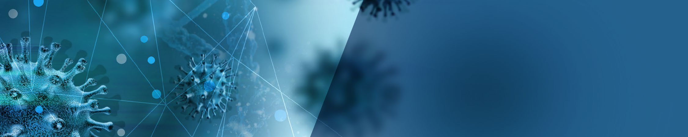 Phase 1b In Depth Guidance — page image